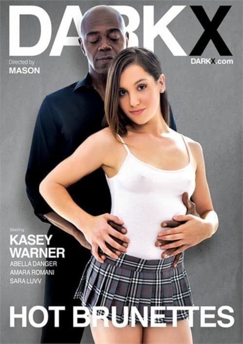 Hot Brunettes poster