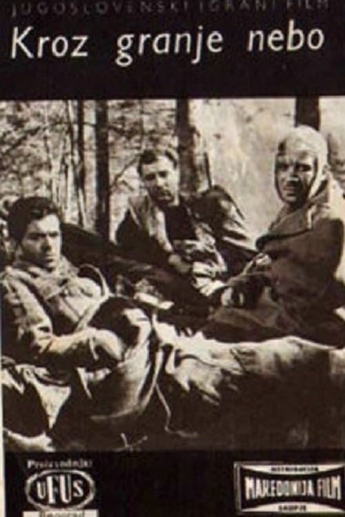 SS Strike at Dawn poster