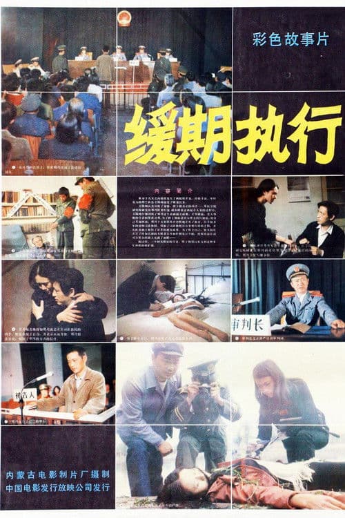 缓期执行 poster