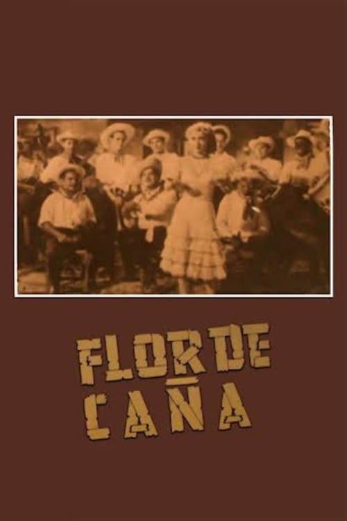 Flor de caña poster
