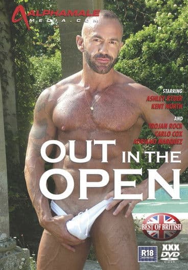 Out in the Open poster