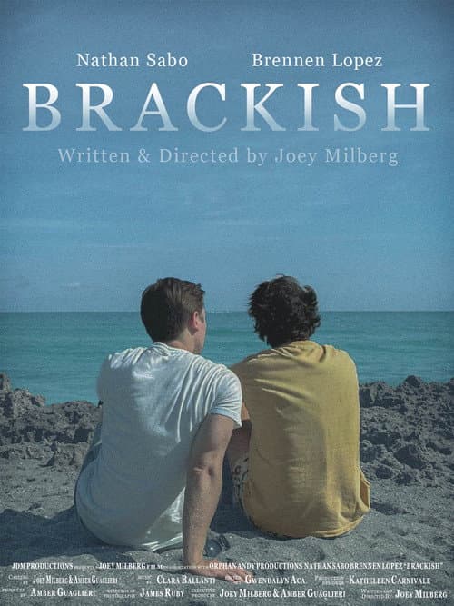 Brackish poster