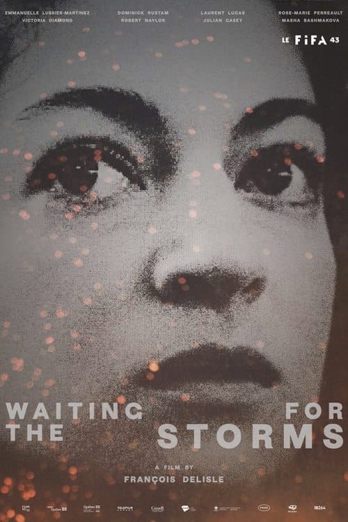 Waiting for the Storms poster