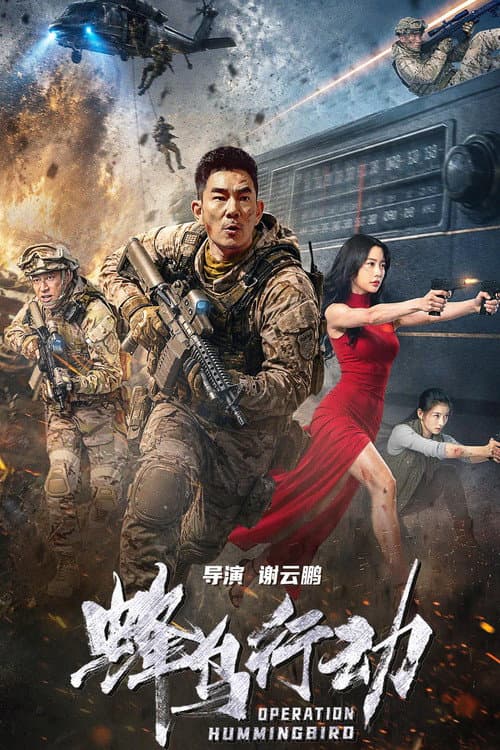 Operation Hummingbird poster