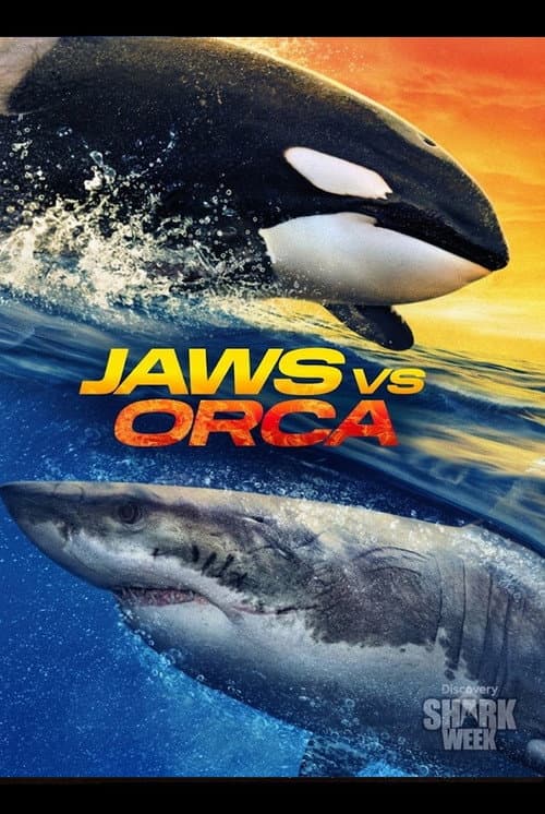 Jaws vs. Orca poster