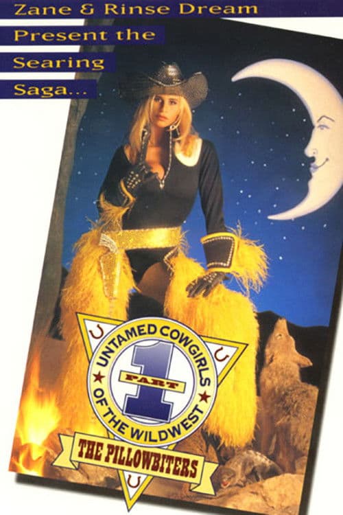 Untamed Cowgirls of the Wild West Part 1: The Pillowbiters poster