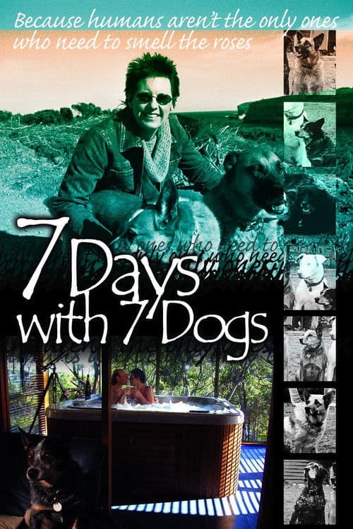 7 Days with 7 Dogs poster