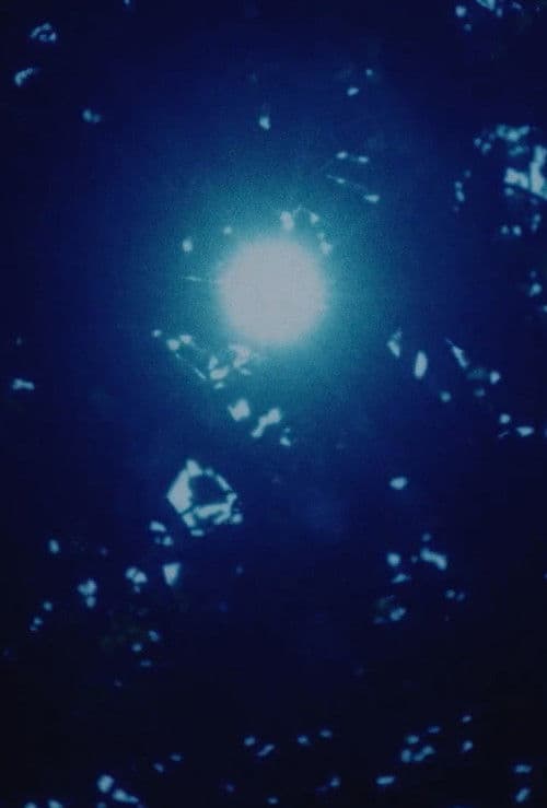 Nothing Out of the Island: Bridges