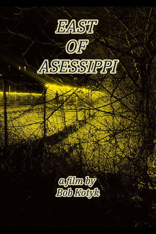East of Asessippi poster