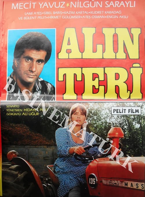Alın Teri poster