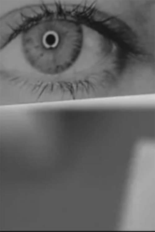 Retrato nº 2. Cuaderno de ensayos poster