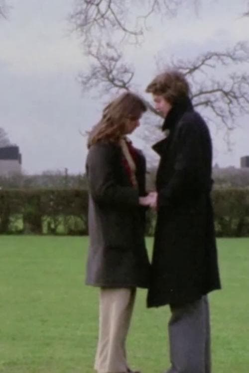 Pebbles in the Flood poster