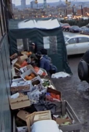 Surfing the Waste: a Musical Documentary about Dumpster Diving poster