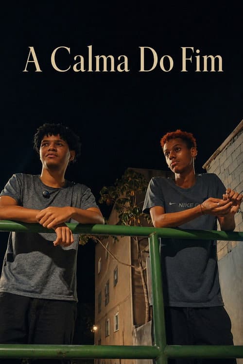 A Calma Do Fim poster