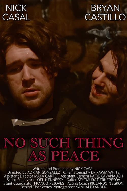 No Such Thing As Peace poster