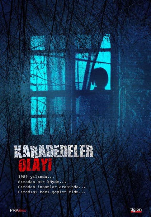 The Karadedeler Incident poster