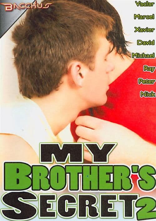 My Brother's Secret 2 poster