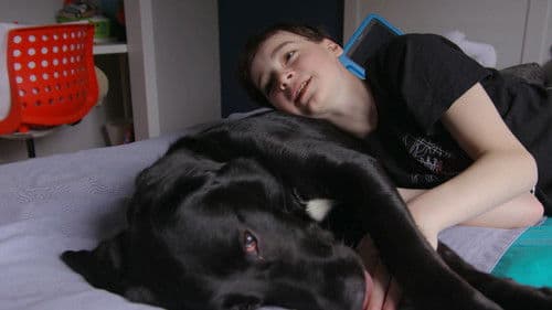 Moi et mon chien poster