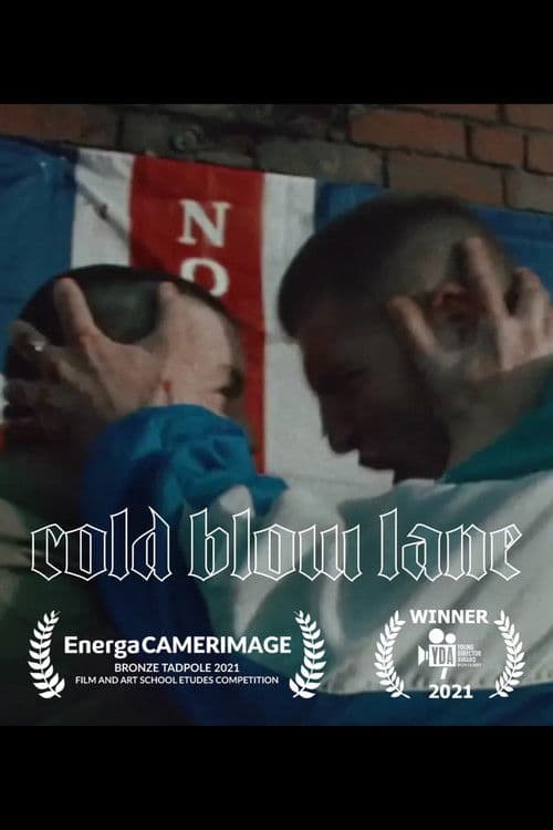 Cold Blow Lane poster