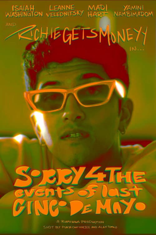 Sorry For the Events of Last Cinco de Mayo poster