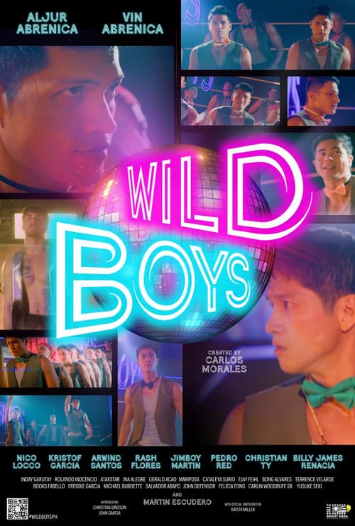 Wild Boys poster
