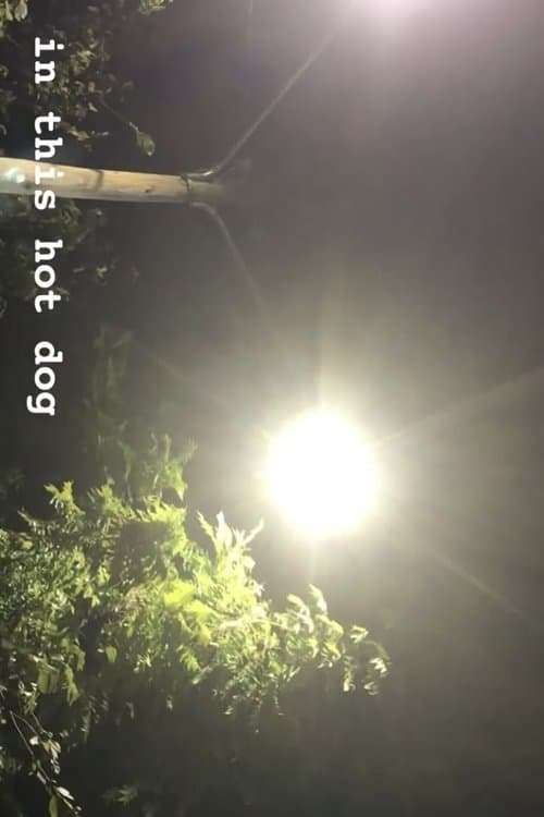 In This Hot Dog poster