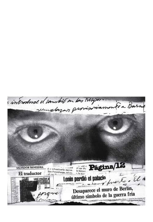 Amongst universally grey cats poster