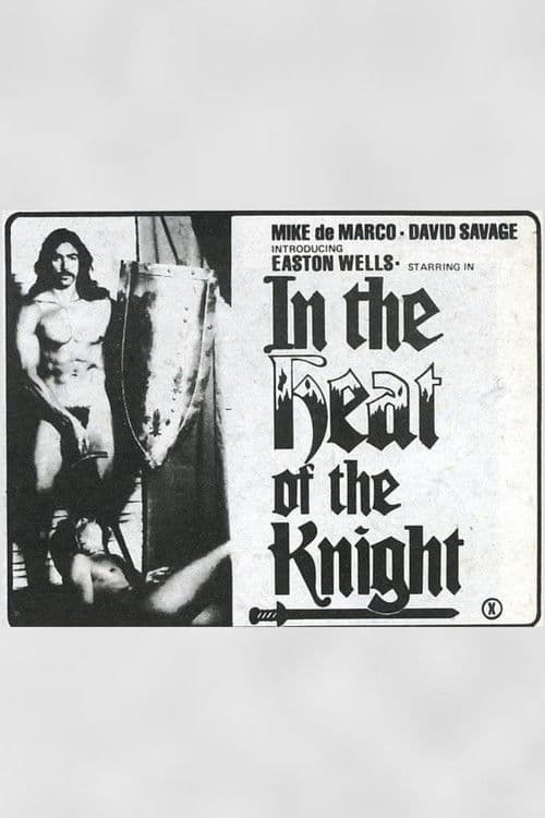In The Heat of The Knight poster