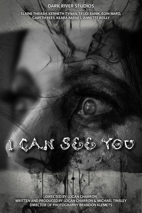 I Can See You poster