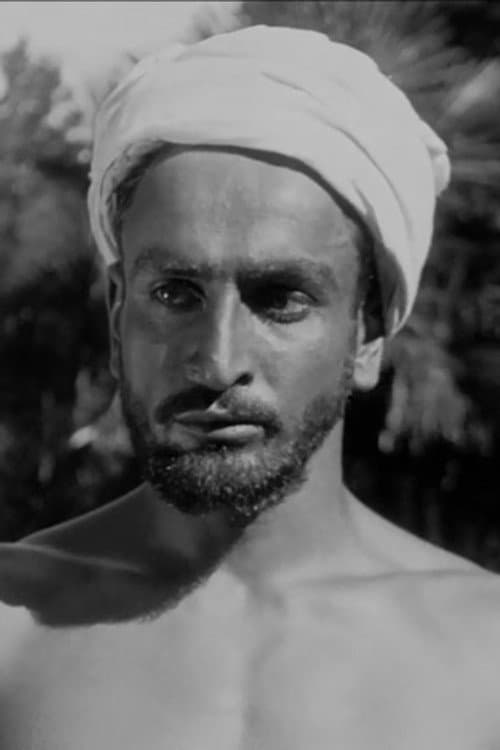 Siko Palavandishvili profile photo