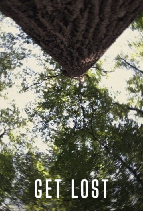 Get Lost poster
