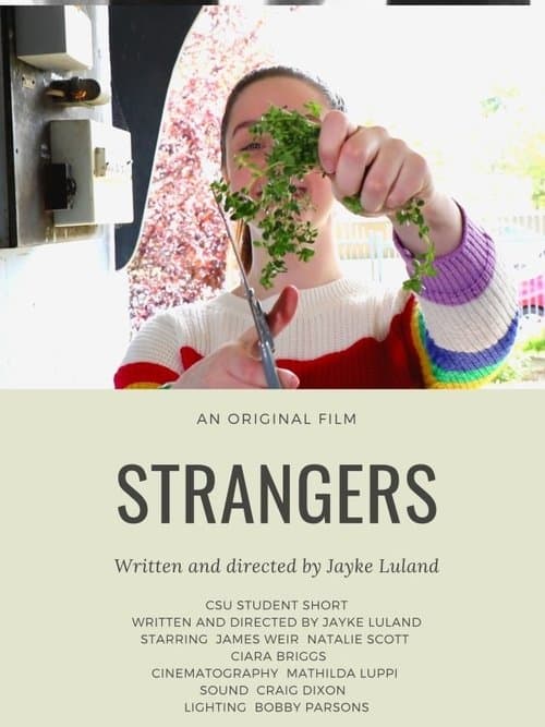 Strangers poster