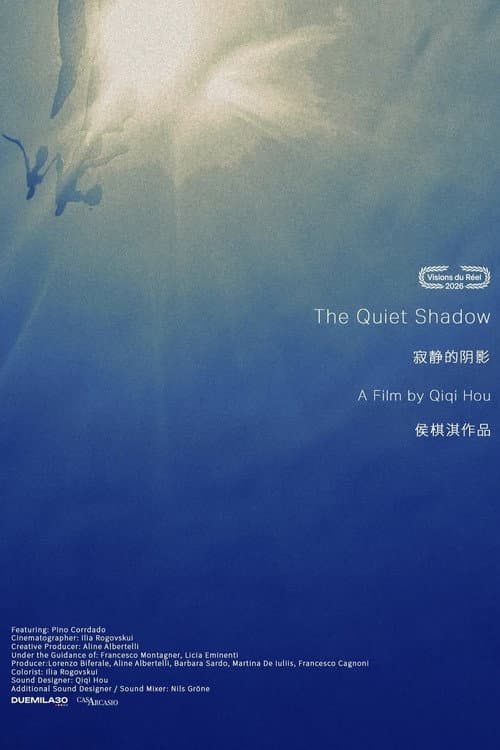 The Quiet Shadow poster