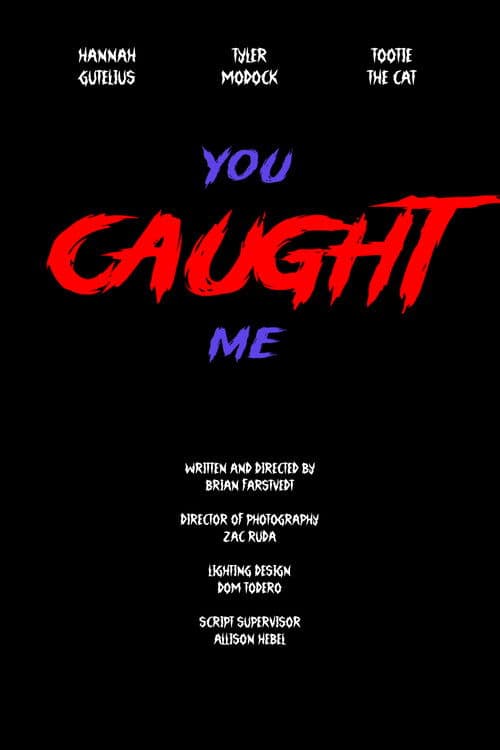 You Caught Me poster