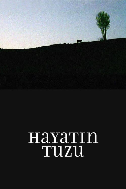 Hayatın Tuzu poster