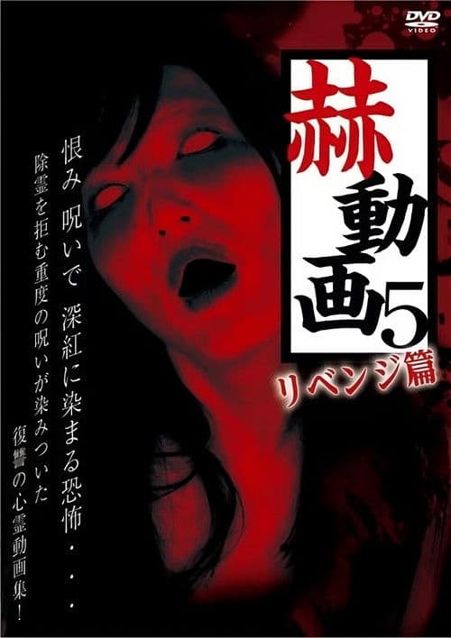 Startling Videos 5: Revenge Edition poster