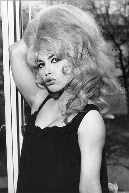 Lady Chinchila profile photo