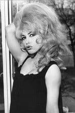 Lady Chinchila profile photo