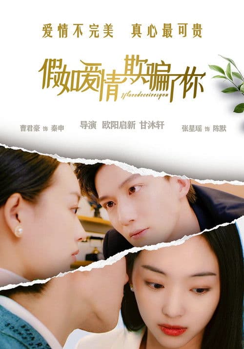 假如爱情欺骗了你 poster