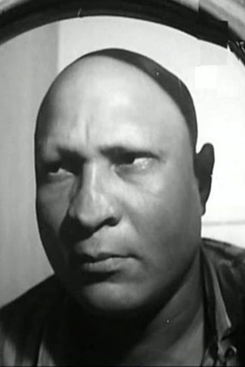 Nasr Saif profile photo