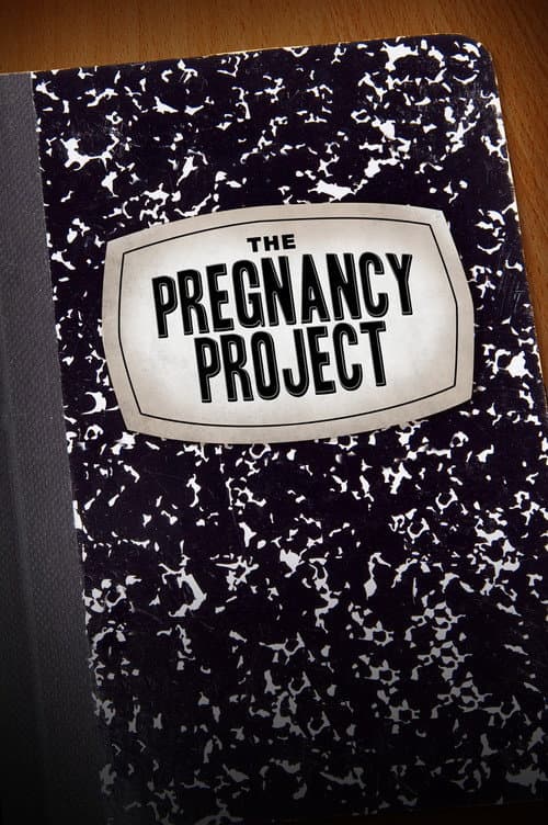 The Pregnancy Project poster