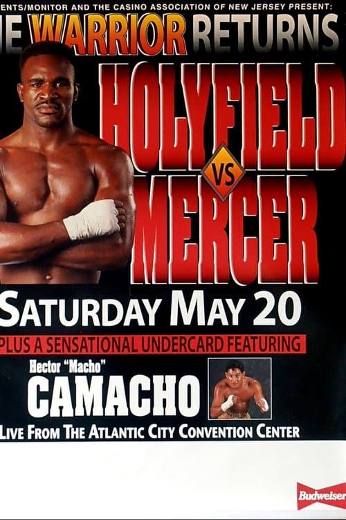 Evander Holyfield vs. Ray Mercer poster