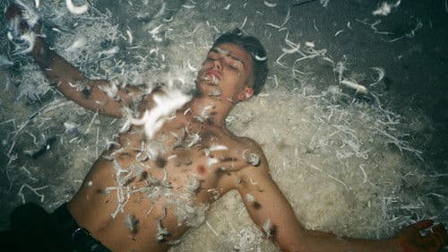 Licking Wounds poster