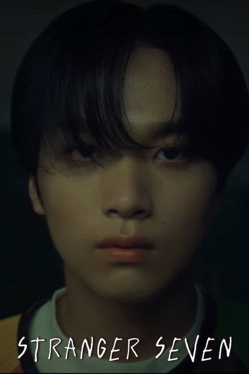 Stranger Seven poster