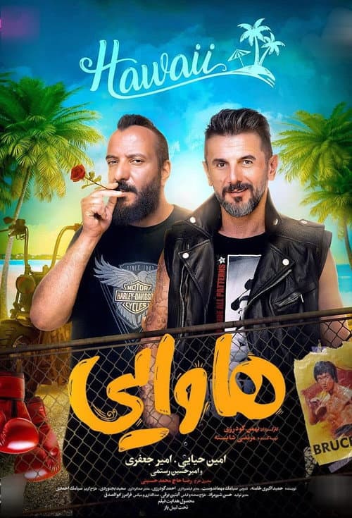 Hawaii poster