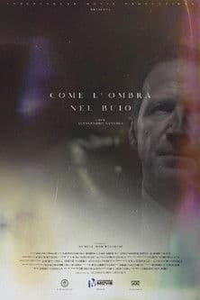 Come l'ombra nel buio poster