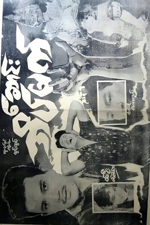 Death is a Night poster