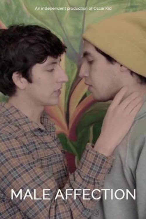 Male Affection poster