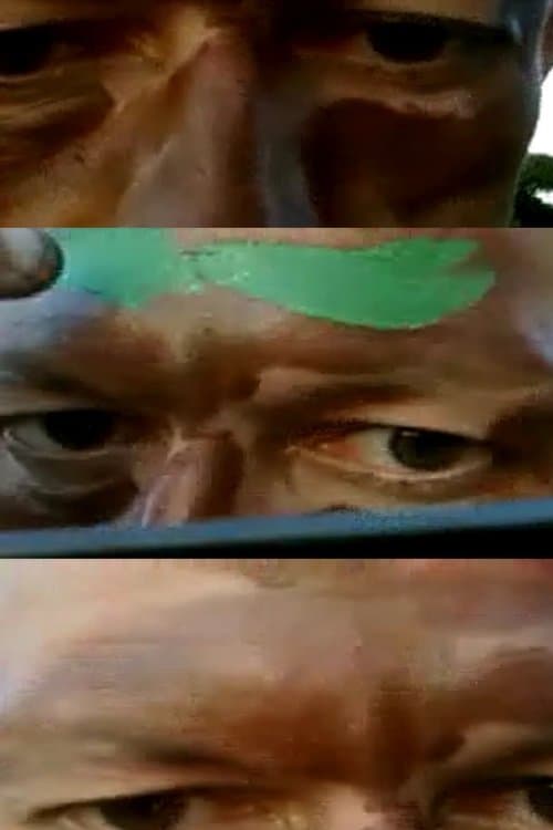 Camouflage Self-Portrait poster