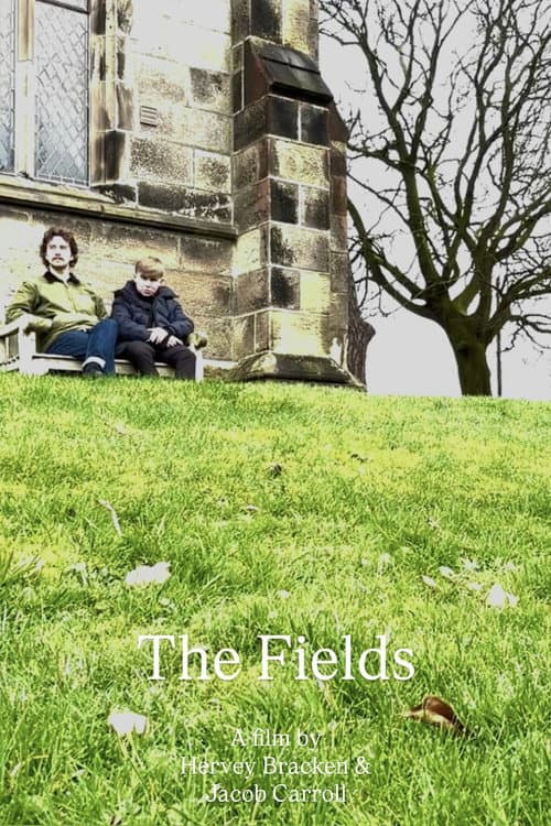 The Fields poster